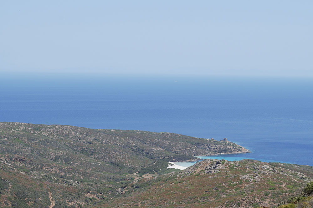 Sinuaria Escursioni - Escursione trekking con panorama isola Asinara