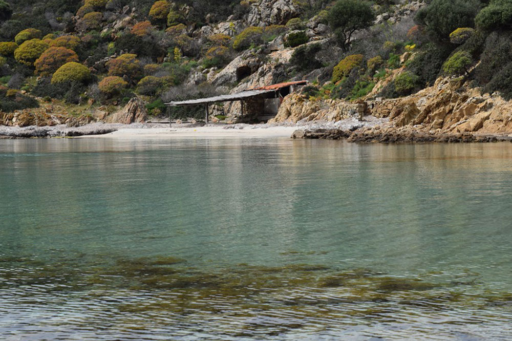 Sinuaria Escursioni - Riva del mare sul litorale Isola Asinara